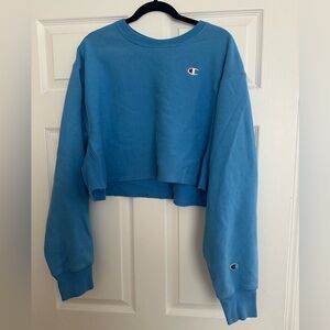 cropped champion crewneck